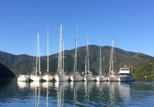 Tasman Bay Cruising Club